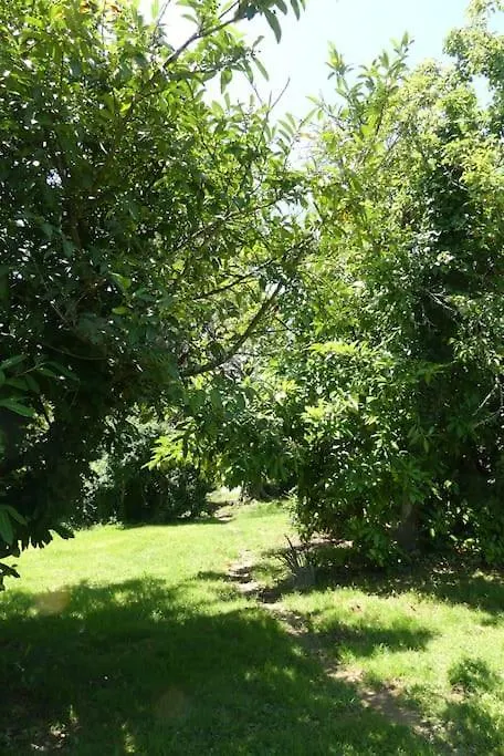 Appartement L'Ecrin De Verdure - Cuguron 0*,